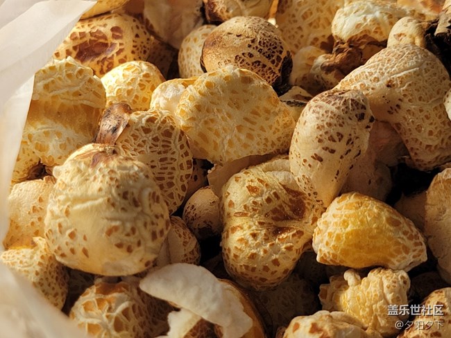 【打卡精彩生活】爆米花