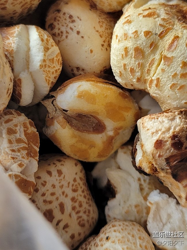 【打卡精彩生活】爆米花