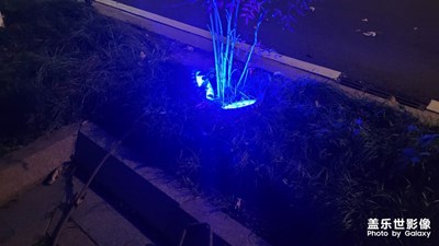 【難忘2022】圣誕節(jié)