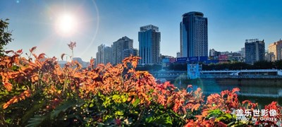 色彩的感動 五彩斑斕的冬天