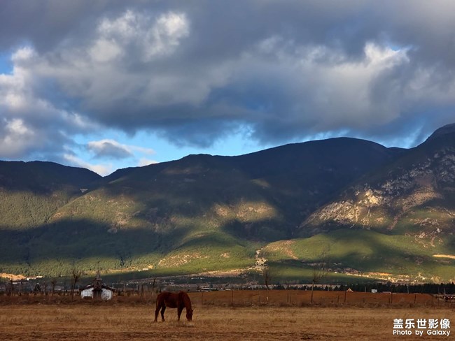 《每周星鮮事》 第130期: 《每周星鮮事》 第130期: