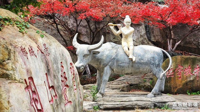 《每周星鮮事》 第130期: 《每周星鮮事》 第130期: