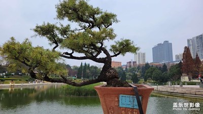 【新生活】+  休閑的一天
