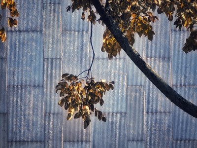 【新生活】+ 陽光正好