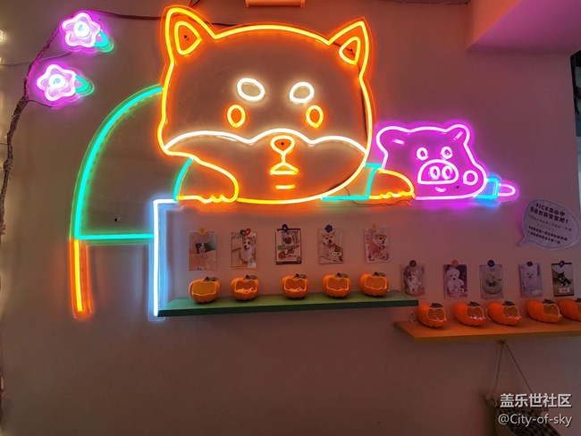 十一假期與星部落一起擼狗