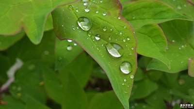 【難忘2022】+ 雨滴留痕