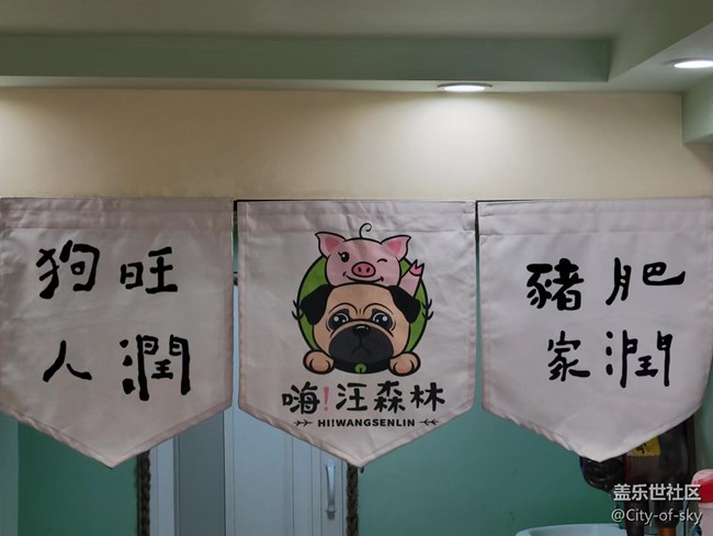 十一假期與星部落一起擼狗