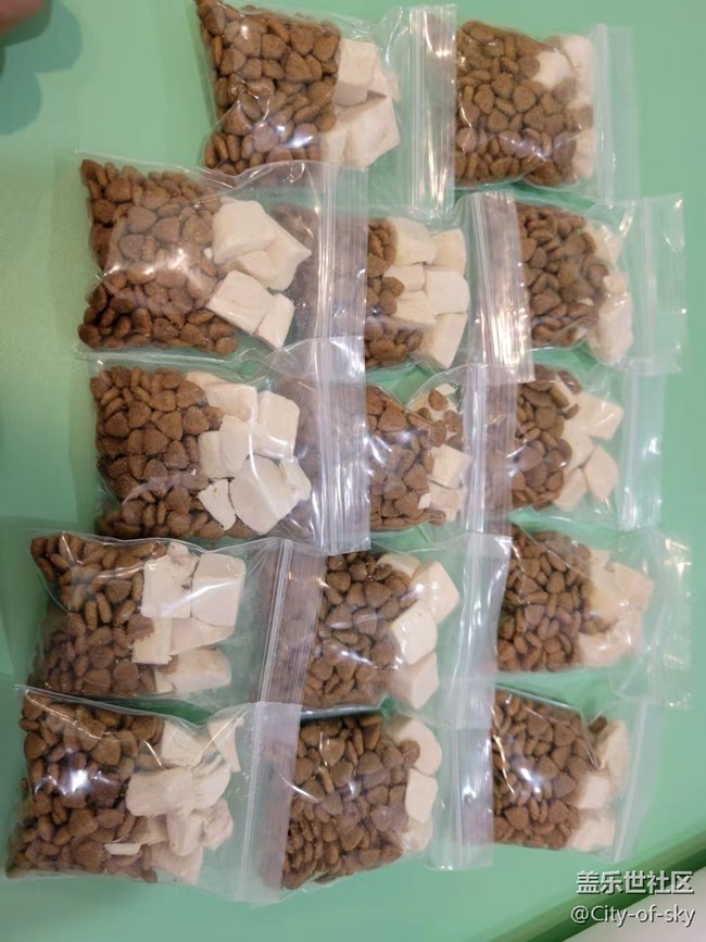 十一假期與星部落一起擼狗