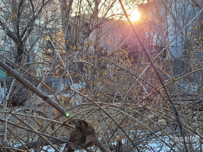 辭舊迎新+和老舊說再見與