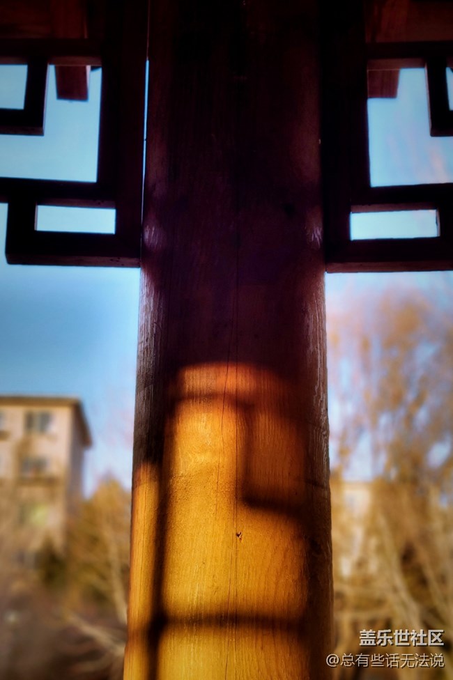 【辭舊迎新】+長(zhǎng)廊上的光