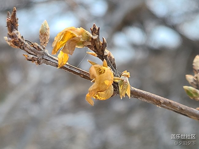 辭舊迎新+和老舊說再見與