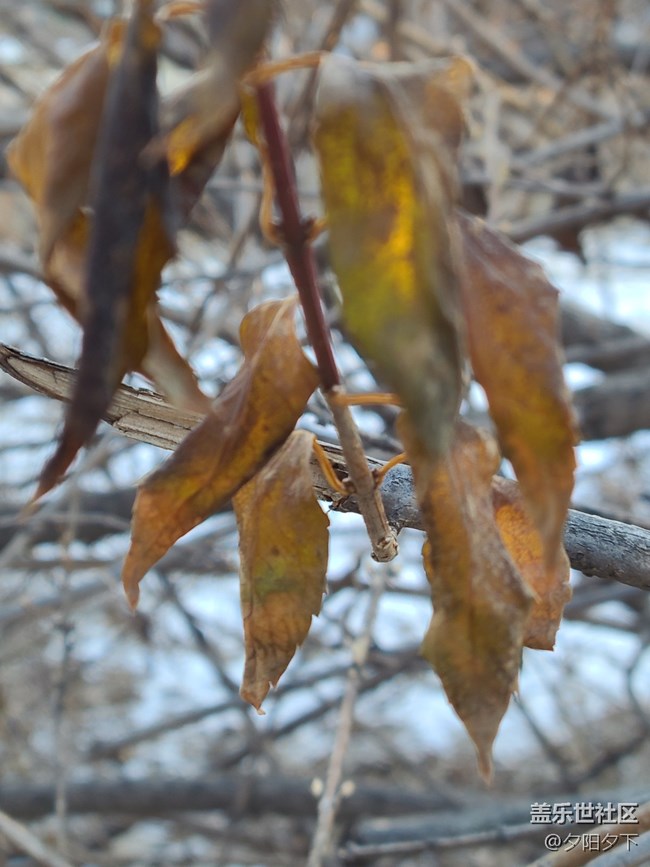 辭舊迎新+和老舊說再見與