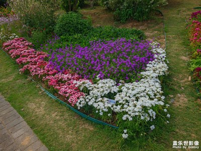 【難忘2022】參觀老家的植物園