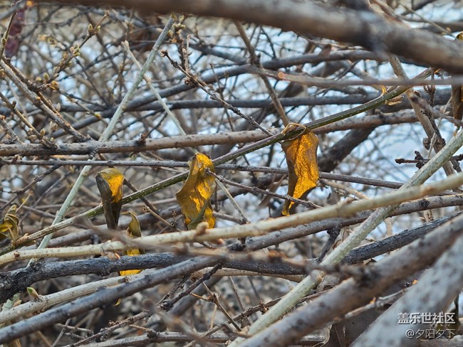 辭舊迎新+和老舊說再見與