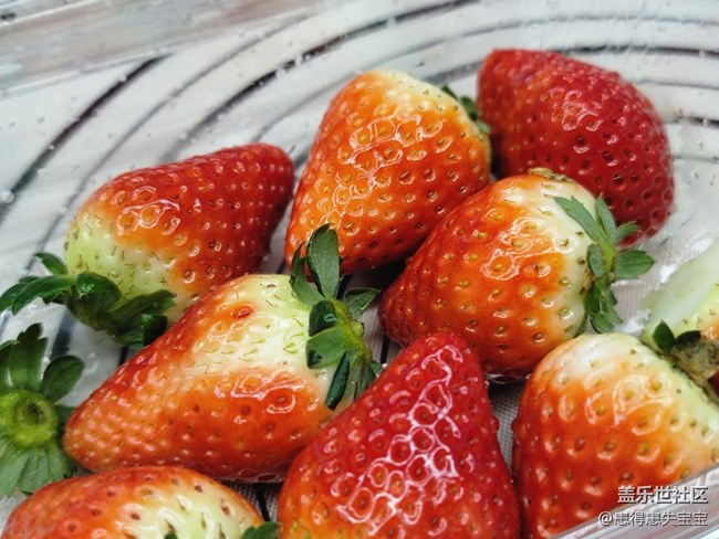 線下活動——DIY紙杯蛋糕