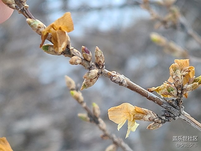 辭舊迎新+和老舊說再見與