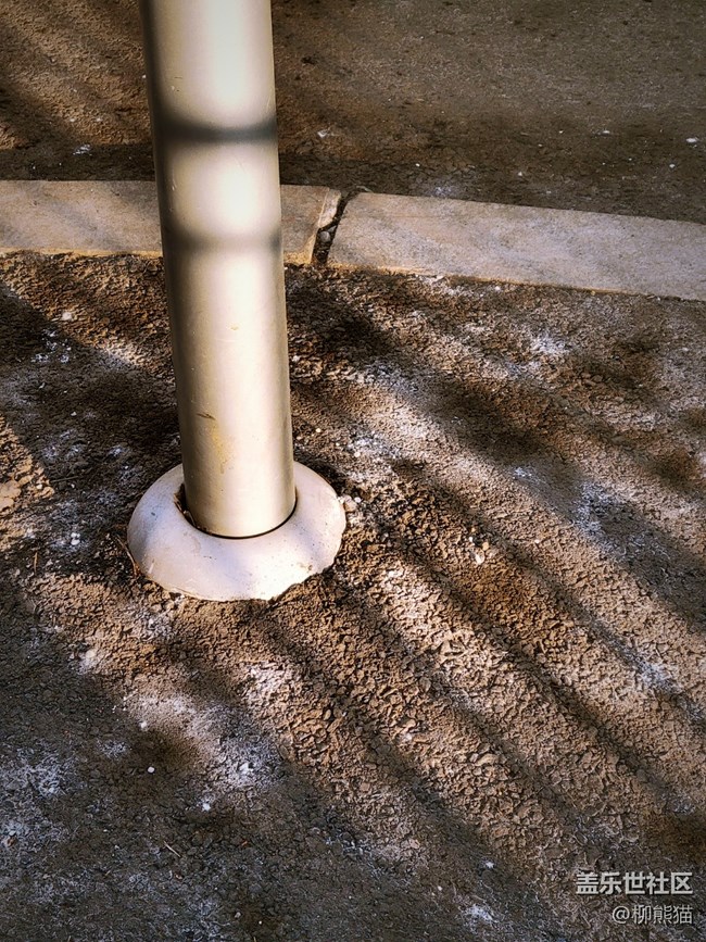 【辭舊迎新】五里河公園