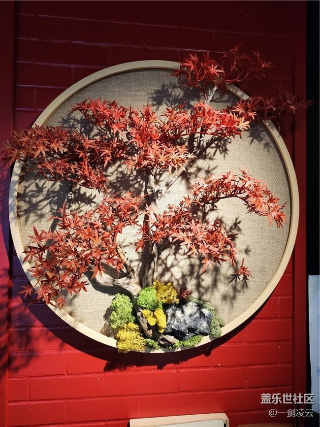 【打卡精彩生活】致2022，希望明年越來(lái)越好