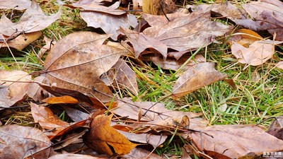 元旦假期郊外隨拍