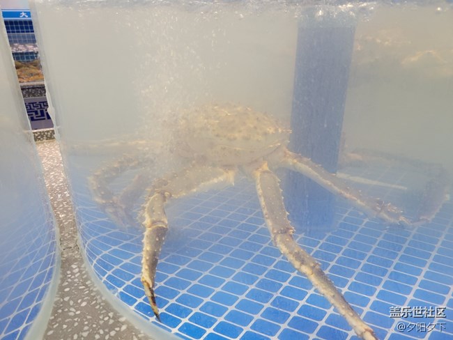 【打卡精彩生活】逛海鮮市場