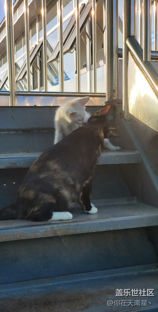 【我的2022】— 2022路上的風(fēng)景