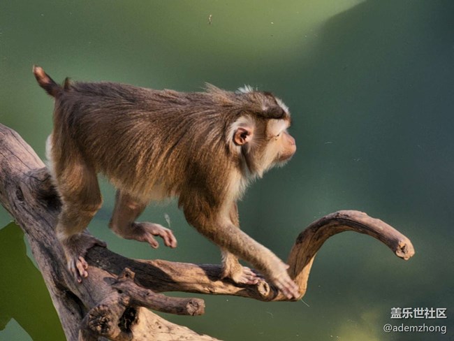 《每周星鮮事》 第131期: