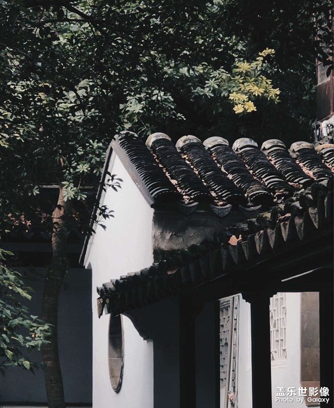 《每周星鮮事》 第131期: