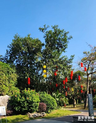 新年新氣象