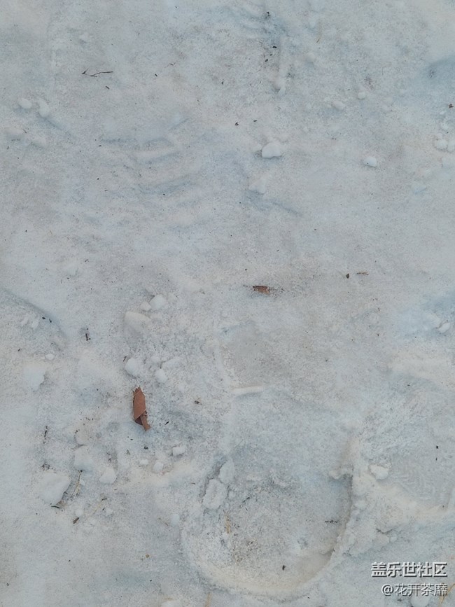 【打卡精彩生活】雪還沒(méi)化