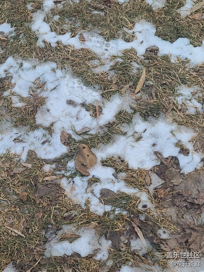 【打卡精彩生活】雪還沒(méi)化