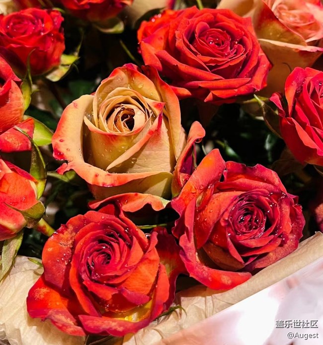 【回首2022】幸福