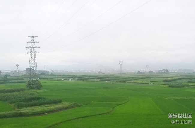 【故鄉(xiāng)之思】綠色的田野