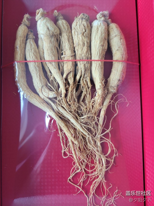 【打卡精彩生活】人參干