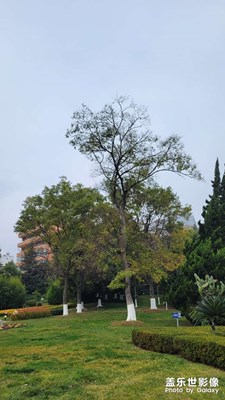 公園風(fēng)景
