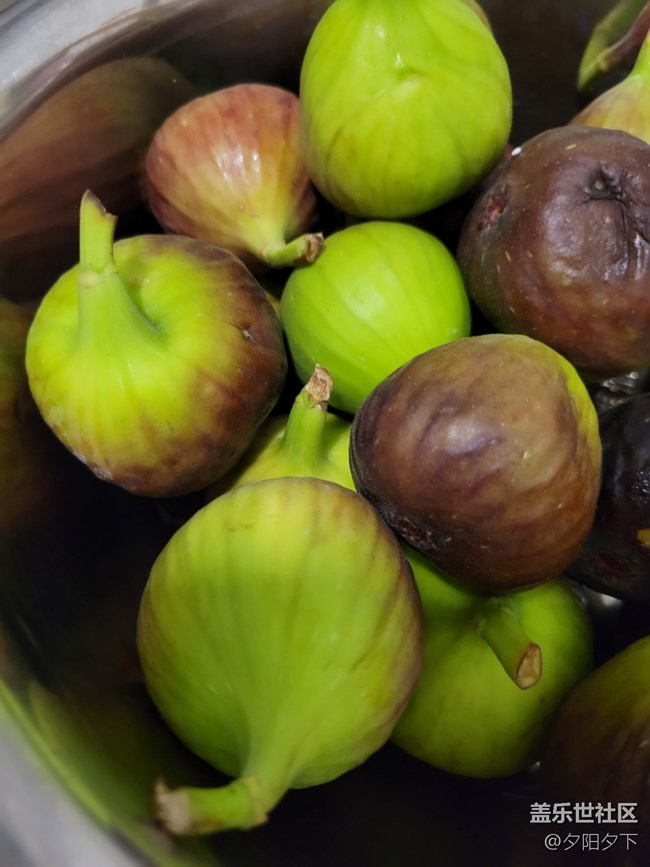 打卡精彩生活+無花果