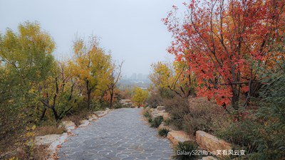 Galaxy S22Ultra   午后