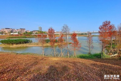 隨拍