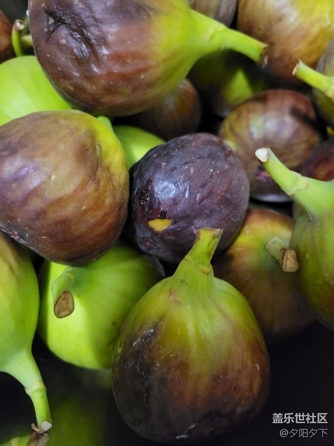 打卡精彩生活+無花果