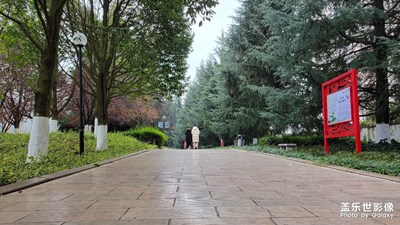 【回家路上】+ 路上的風(fēng)景