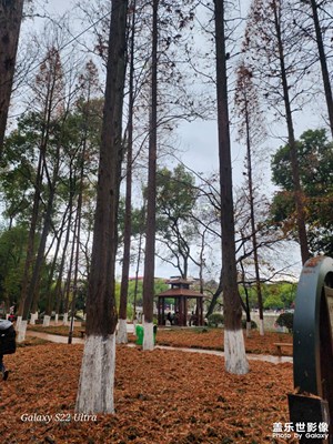 道縣西洲公園