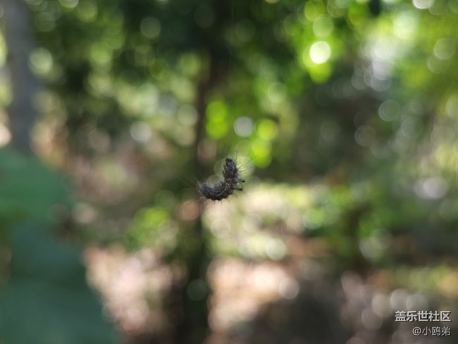 三星Galaxy Z Fold4+【創(chuàng)意評測】