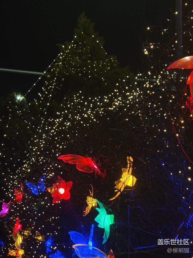 【我的2022】星光閃耀