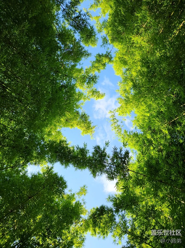 三星Galaxy Z Fold4+【創(chuàng)意評測】