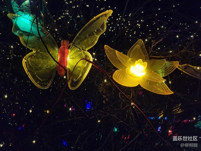 【我的2022】星光閃耀