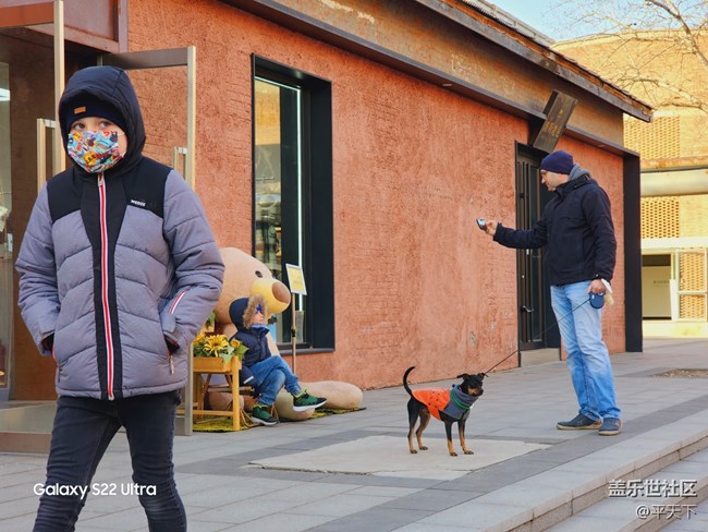 北京星部落一月份798線下活動(dòng)——藝術(shù)街邊遛狗的外國(guó)人
