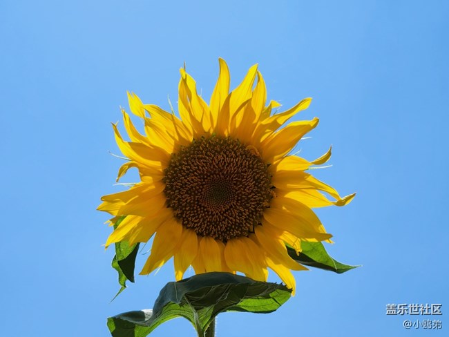 三星Galaxy Z Fold4+【創(chuàng)意評測】