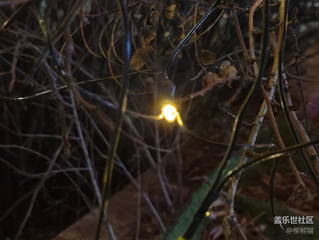 【我的2022】星光閃耀