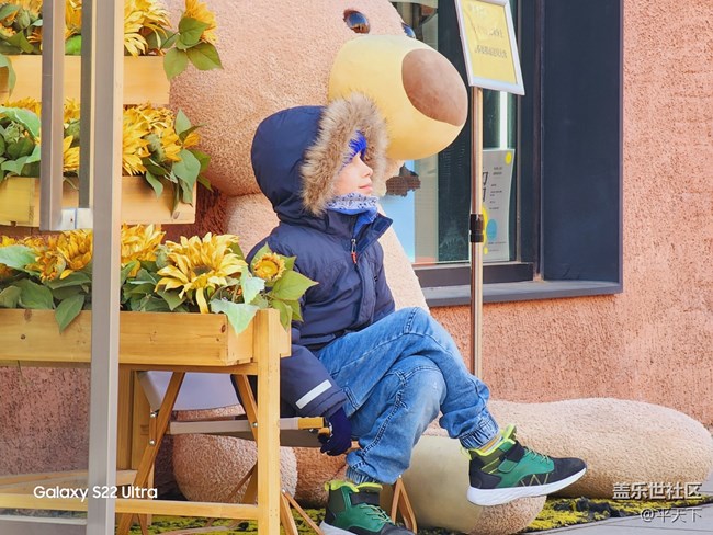 北京星部落一月份798線下活動(dòng)——藝術(shù)街邊遛狗的外國(guó)人
