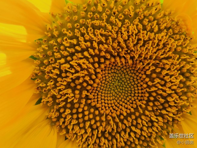 三星Galaxy Z Fold4+【創(chuàng)意評測】