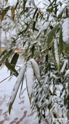 2023新年的第一場(chǎng)雪
